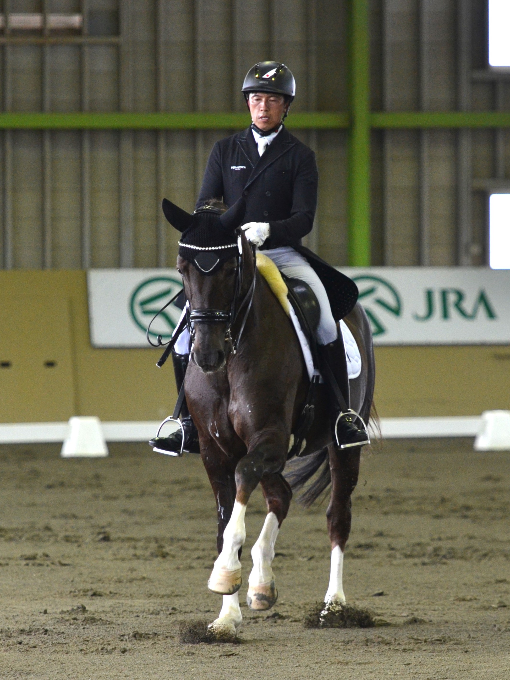 公益社団法人 日本馬術連盟 《Japan Equestrian Federation》・日本